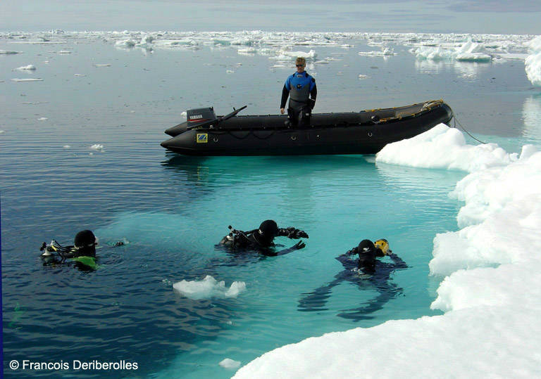 3 plongeurs en Antarctique sous l'oeil du dive master debout sur le zodiac