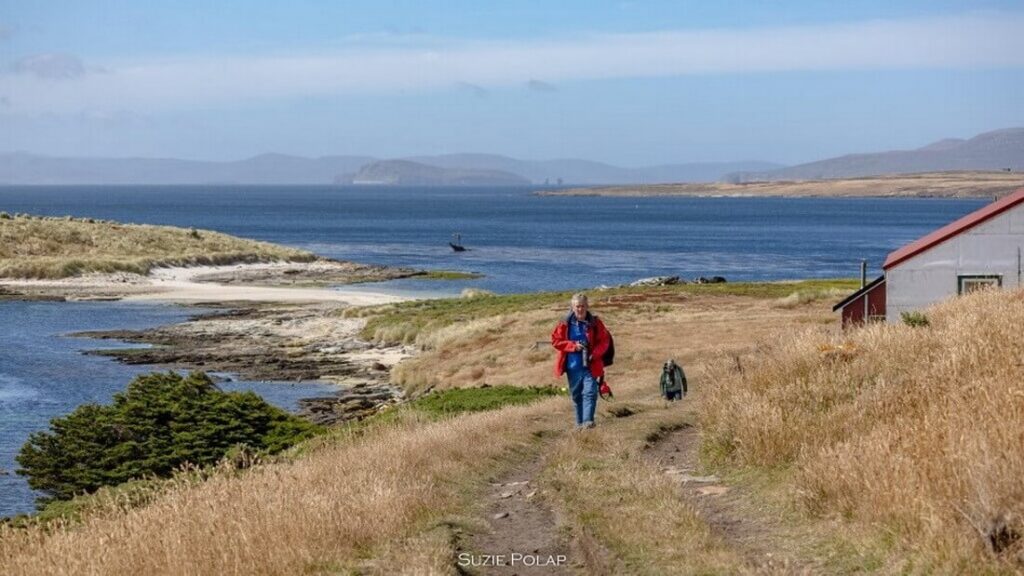 promenade sur les iles Malouines