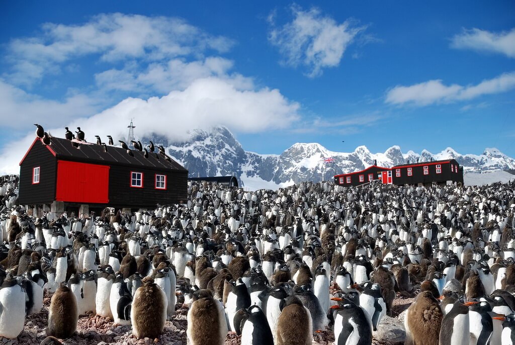 Port Lockroy et sa colonie de papous