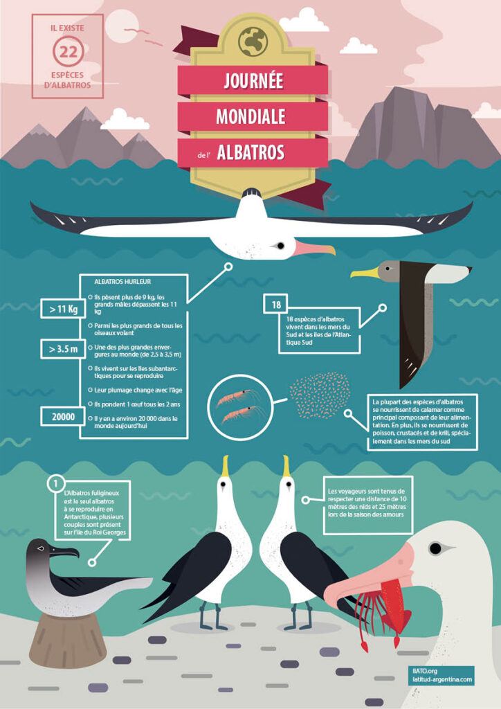 affiche de la journéee mondiale de l'albatros