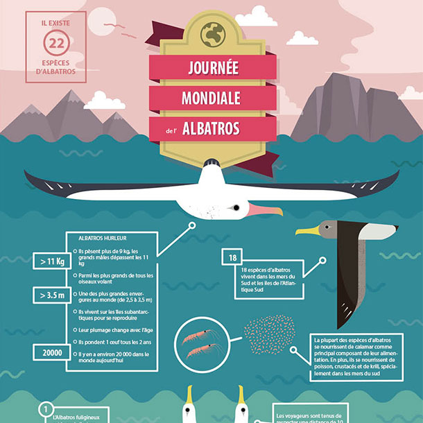 journee mondiale albatros