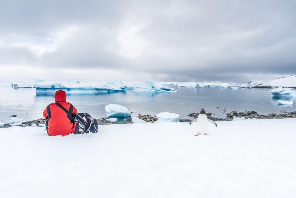 un homme avec une parka rouge est assis dans la neige contemple l'antarctique