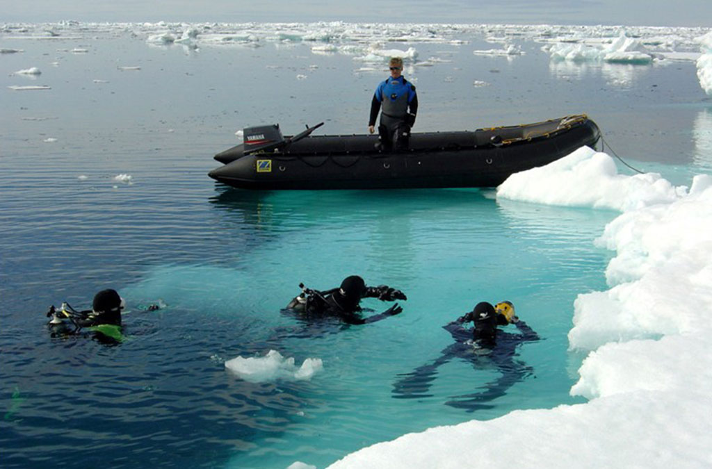 trois plongeurs en antarctique à la surface de l'eau avec le zodiac qui surveille