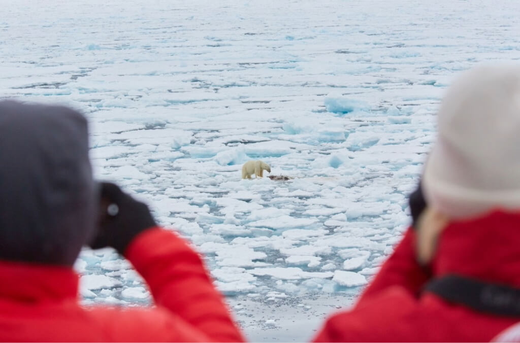 observation ours